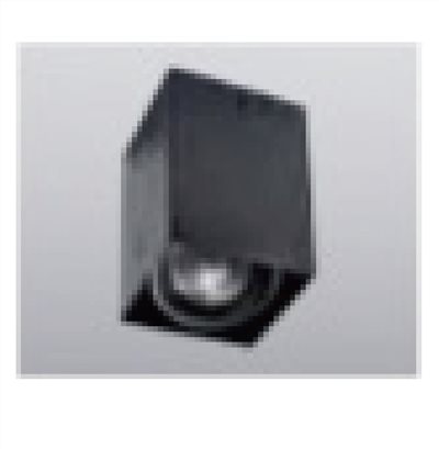 RL-1915-1